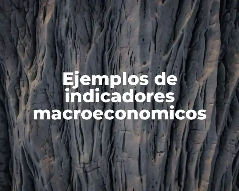 Ejemplos de indicadores macroeconomicos