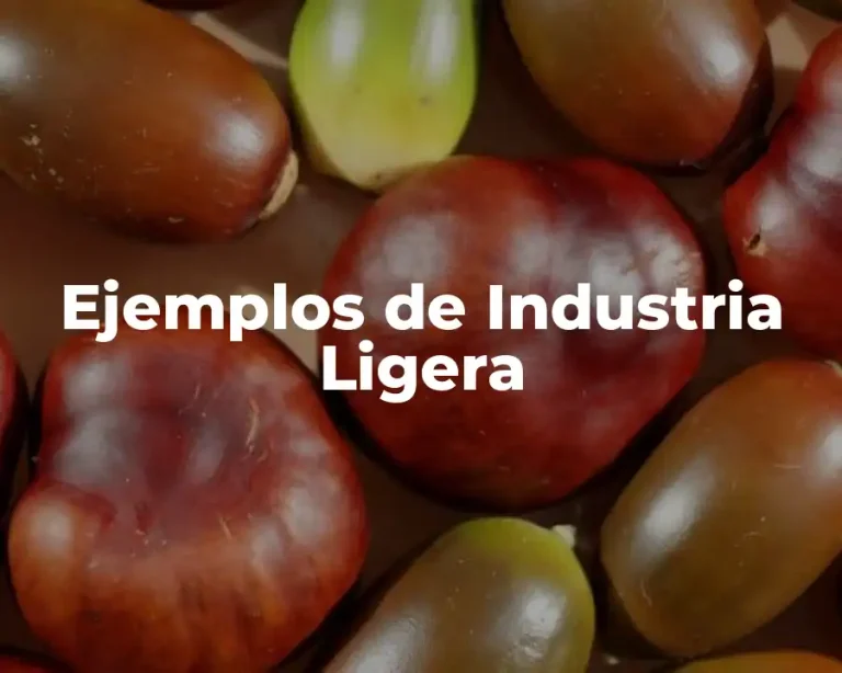 Ejemplos de Industria Ligera