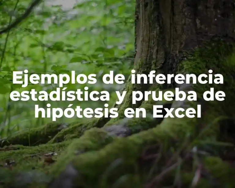 Ejemplos de inferencia estadística y prueba de hipótesis en Excel