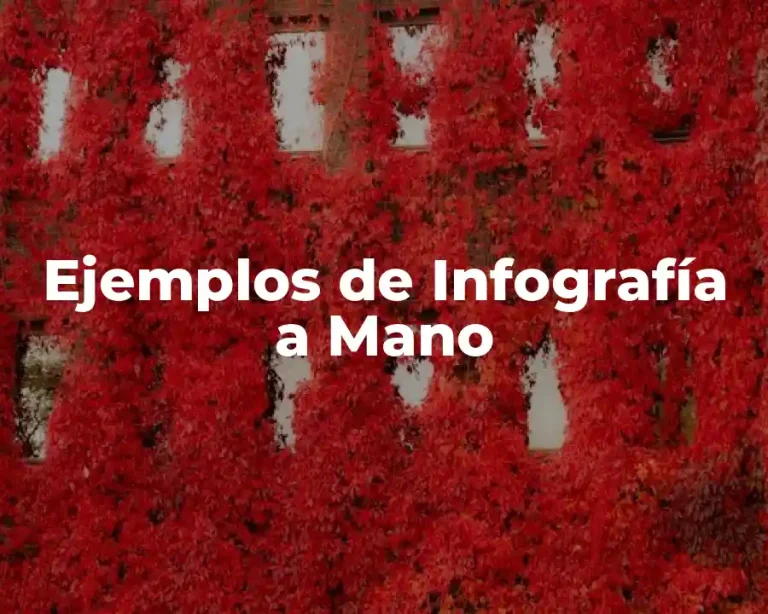 Ejemplos de Infografía a Mano