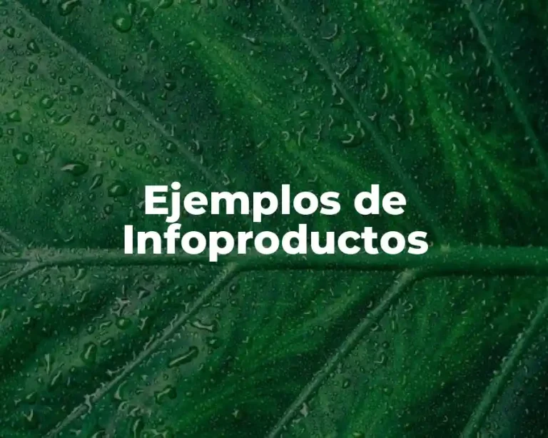 Ejemplos de Infoproductos