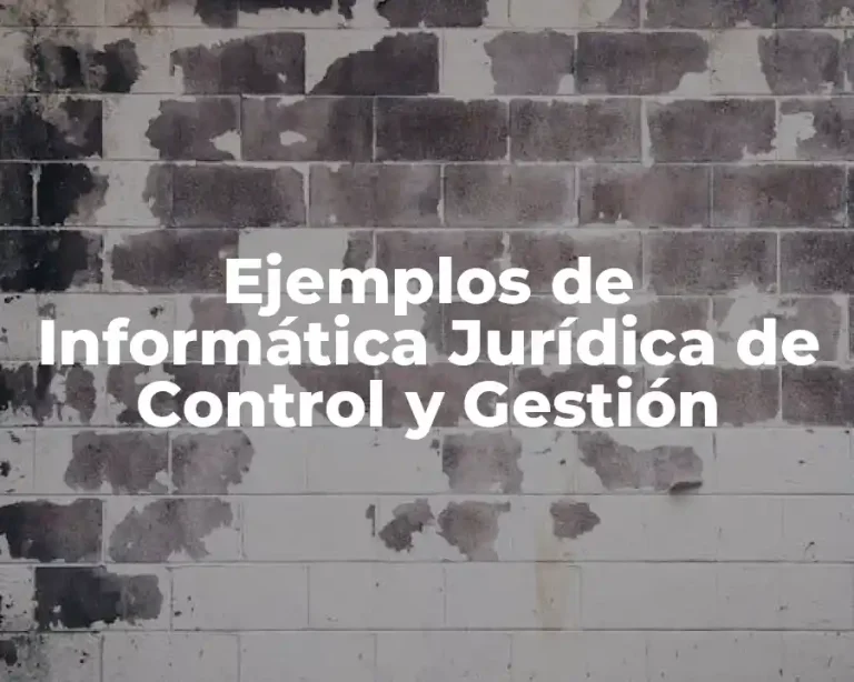 Ejemplos de Informática Jurídica de Control y Gestión
