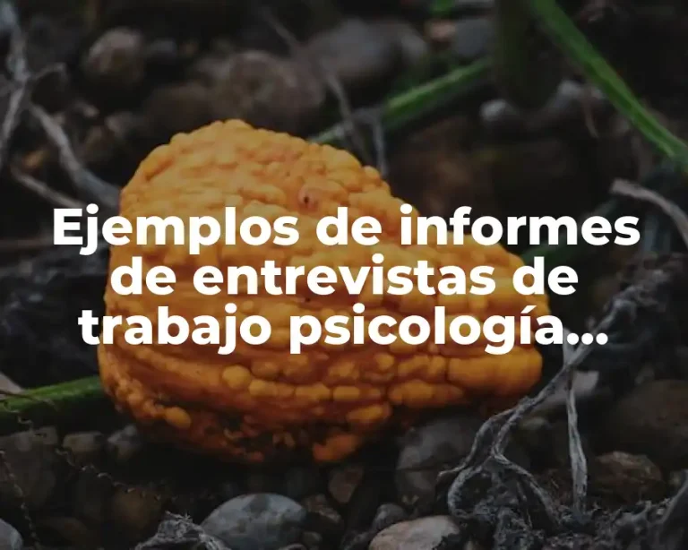 Ejemplos de informes de entrevistas de trabajo psicología online