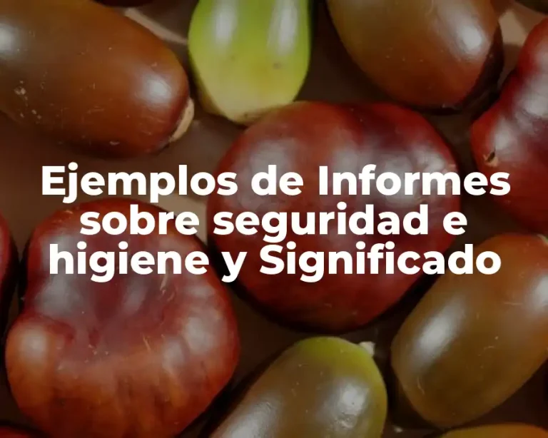Ejemplos de Informes sobre seguridad e higiene y Significado