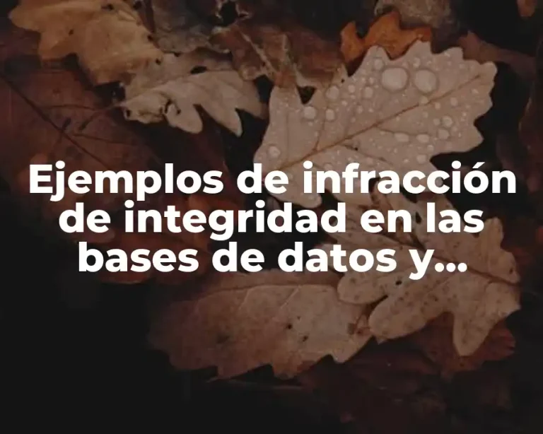 Ejemplos de infracción de integridad en las bases de datos y Significado