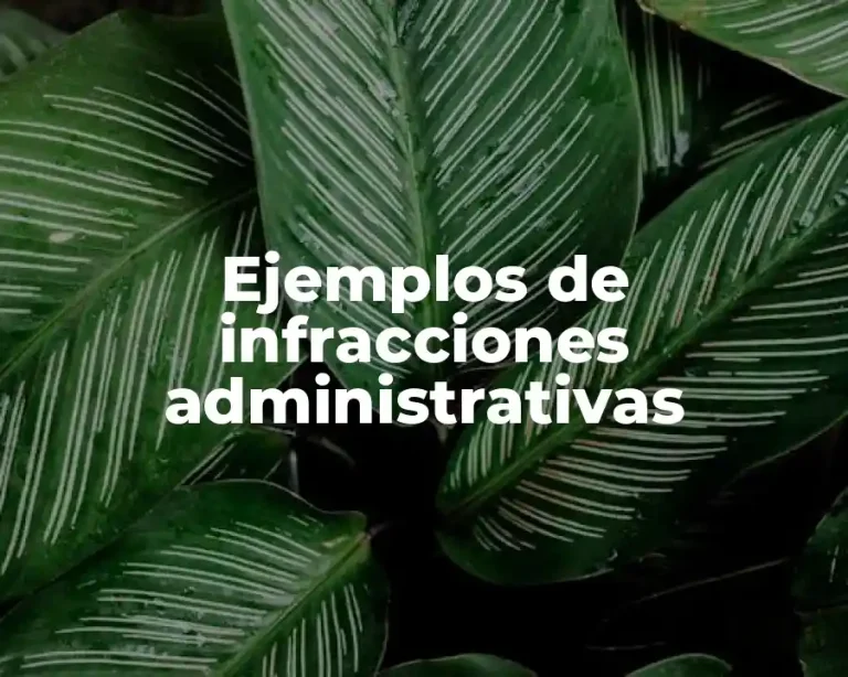 Ejemplos de infracciones administrativas