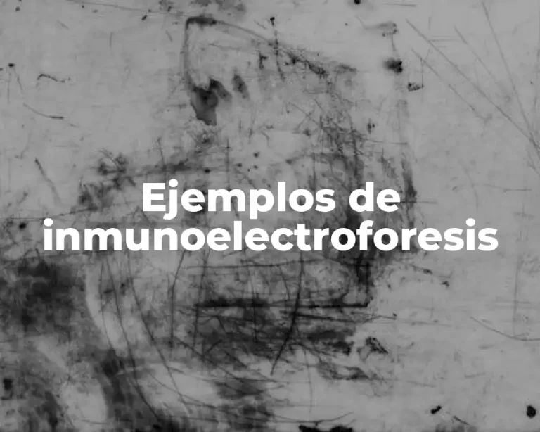 Ejemplos de inmunoelectroforesis