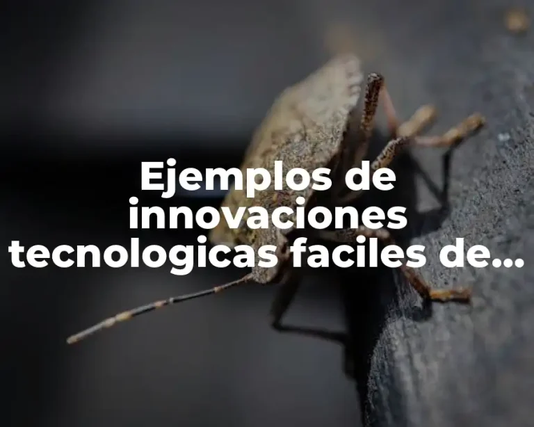 Ejemplos de innovaciones tecnologicas faciles de hacer con material