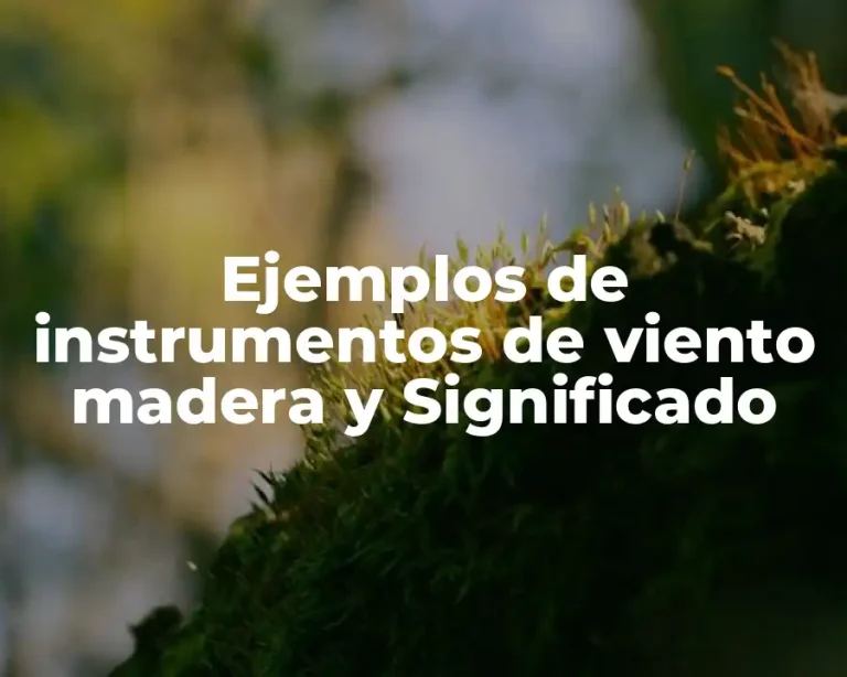 Ejemplos de instrumentos de viento madera y Significado