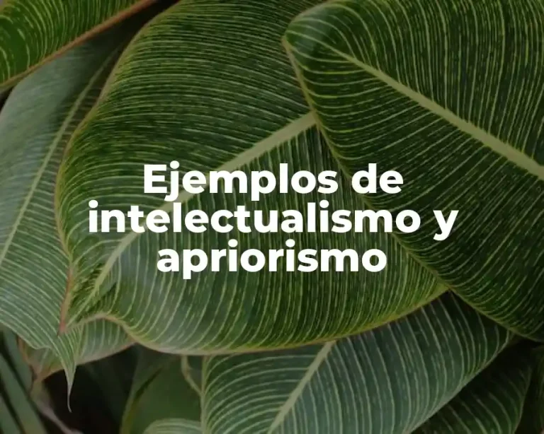 Ejemplos de intelectualismo y apriorismo
