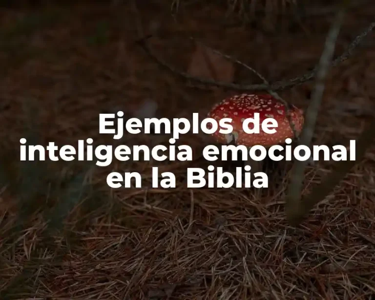 Ejemplos de inteligencia emocional en la Biblia