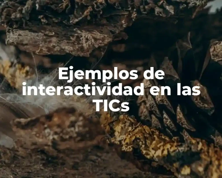 Ejemplos de interactividad en las TICs