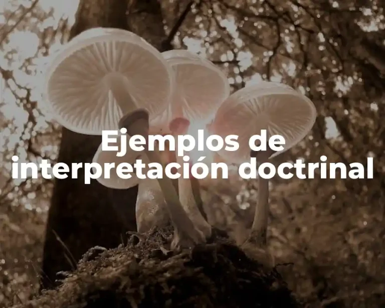 Ejemplos de interpretación doctrinal