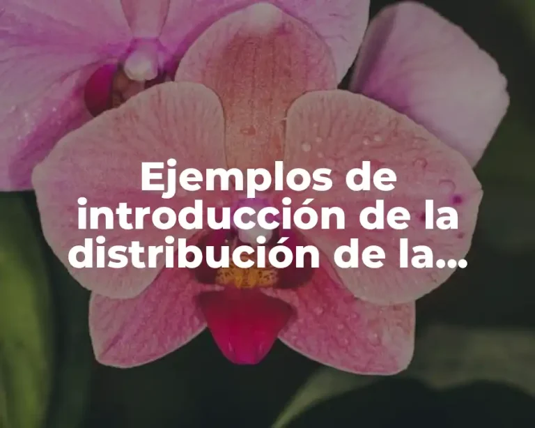 Ejemplos de introducción de la distribución de la basura