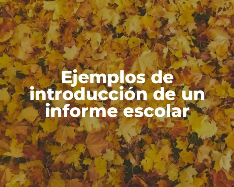 Ejemplos de introducción de un informe escolar