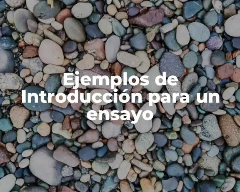 Ejemplos de Introducción para un ensayo