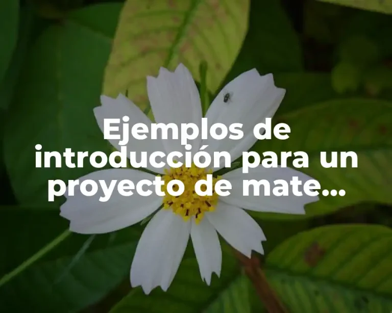 Ejemplos de introducción para un proyecto de mate eléctricos