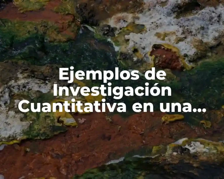 Ejemplos de Investigación Cuantitativa en una Empresa