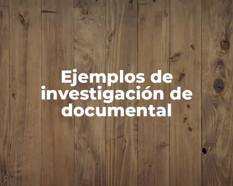 Ejemplos de investigación de documental