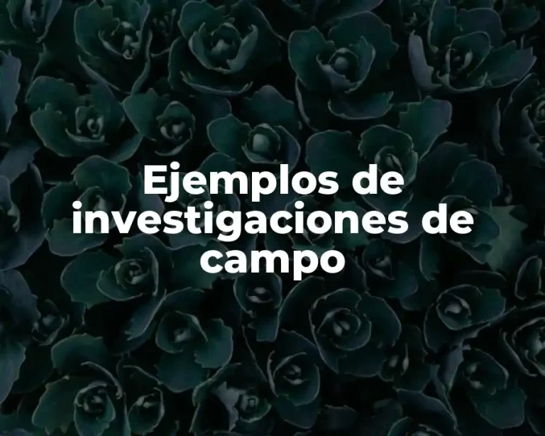Ejemplos de investigaciones de campo