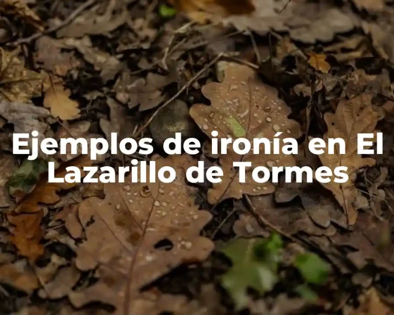 Ejemplos de ironía en El Lazarillo de Tormes