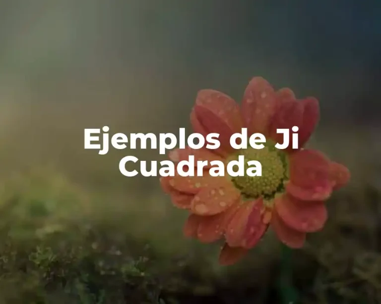 Ejemplos de Ji Cuadrada