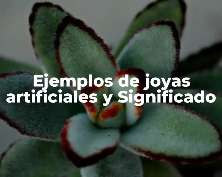 Ejemplos de joyas artificiales y Significado