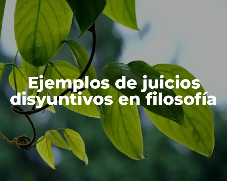 Ejemplos de juicios disyuntivos en filosofía
