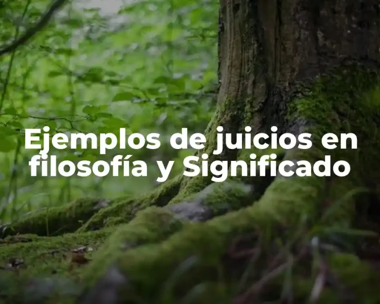 Ejemplos de juicios en filosofía y Significado