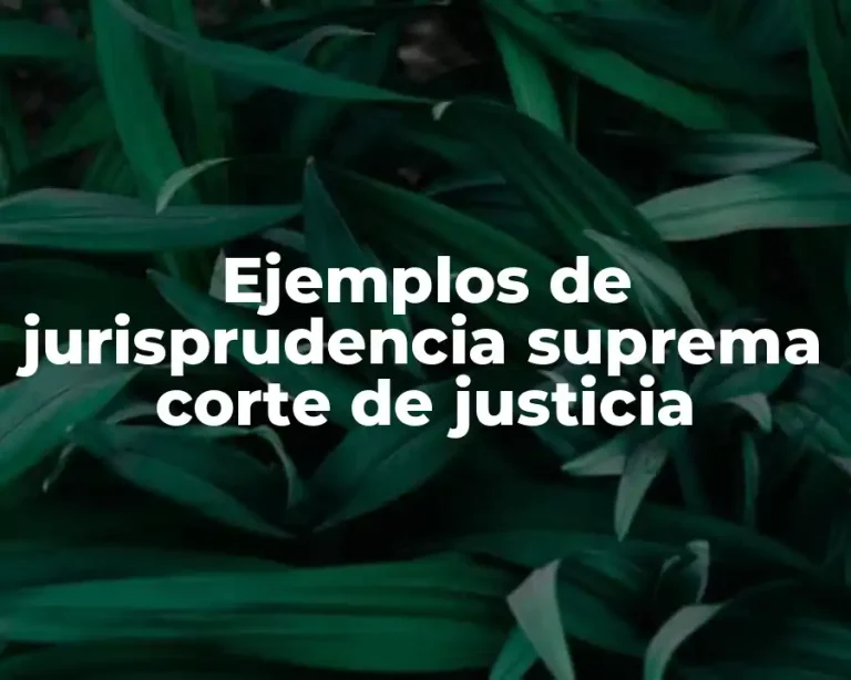 Ejemplos de jurisprudencia suprema corte de justicia