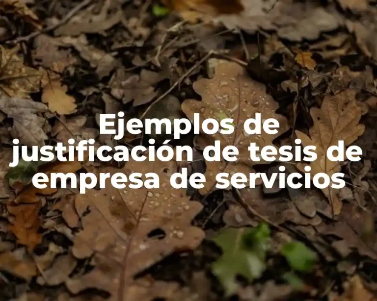 Ejemplos de justificación de tesis de empresa de servicios