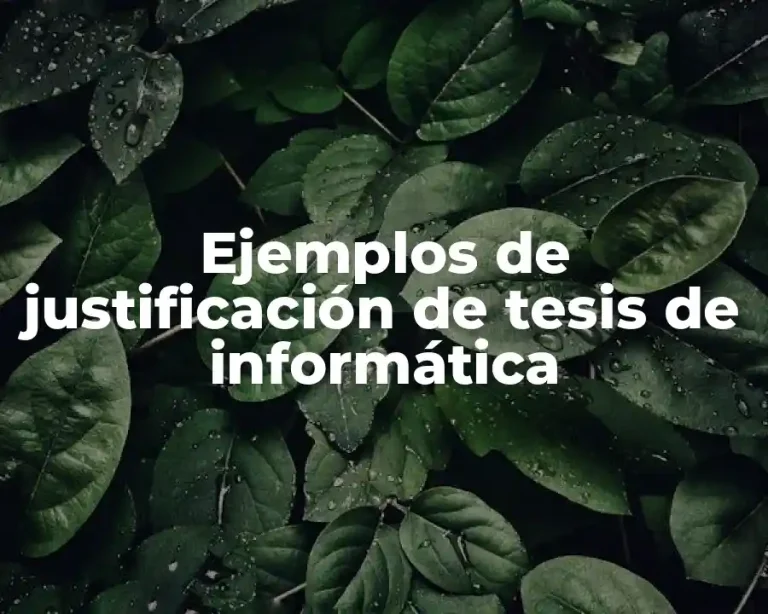 Ejemplos de justificación de tesis de informática
