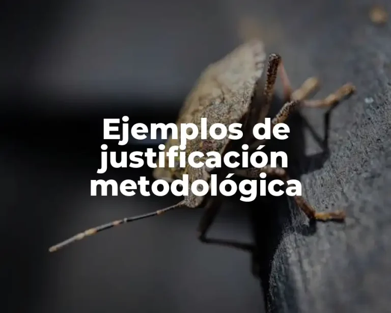 Ejemplos de justificación metodológica
