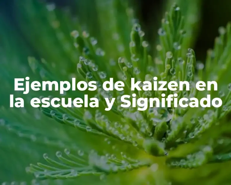 Ejemplos de kaizen en la escuela y Significado