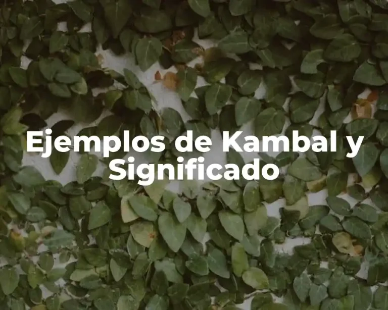 Ejemplos de Kambal y Significado