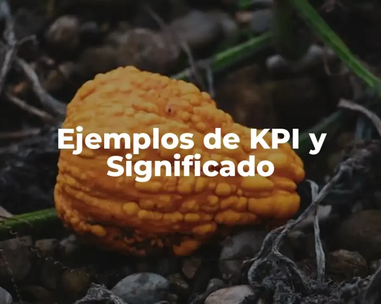 Ejemplos de KPI y Significado