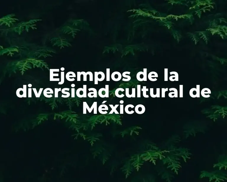 Ejemplos de la diversidad cultural de México