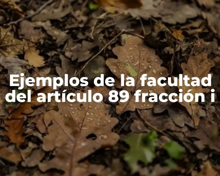 Ejemplos de la facultad del artículo 89 fracción i