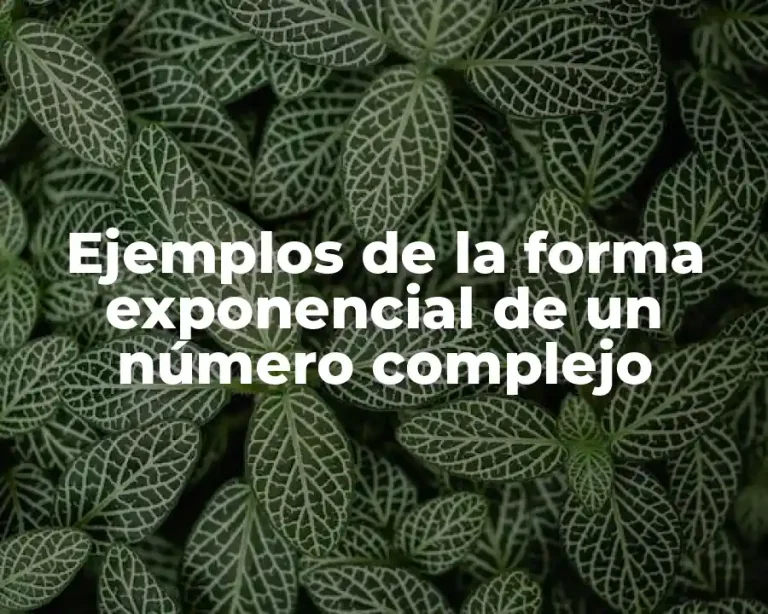 Ejemplos de la forma exponencial de un número complejo
