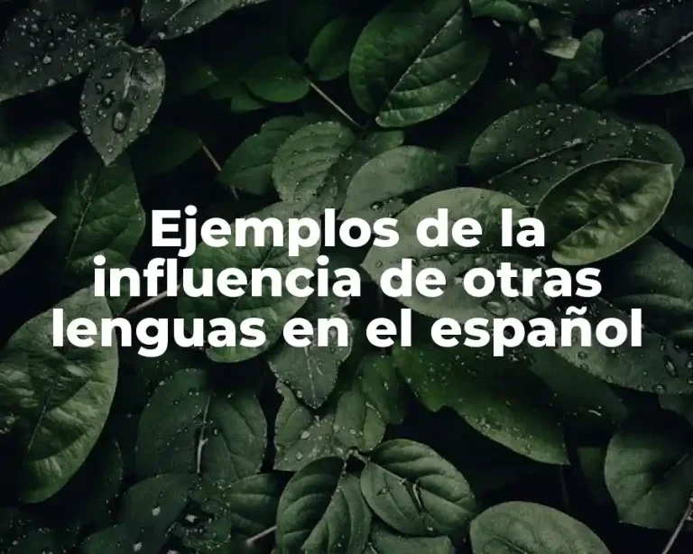 Ejemplos de la influencia de otras lenguas en el español