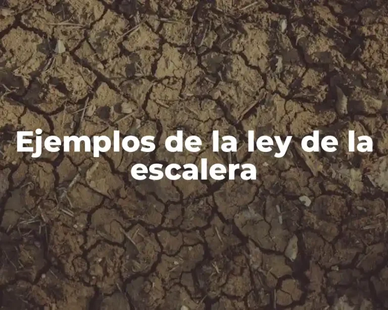Ejemplos de la ley de la escalera