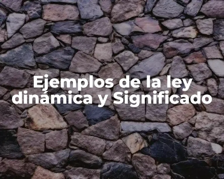 Ejemplos de la ley dinámica y Significado