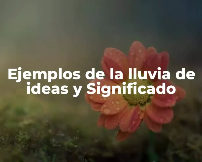 Ejemplos de la lluvia de ideas y Significado
