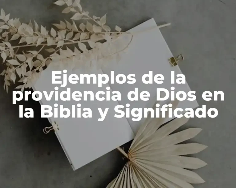 Ejemplos de la providencia de Dios en la Biblia y Significado
