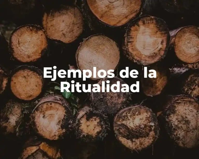 Ejemplos de la Ritualidad