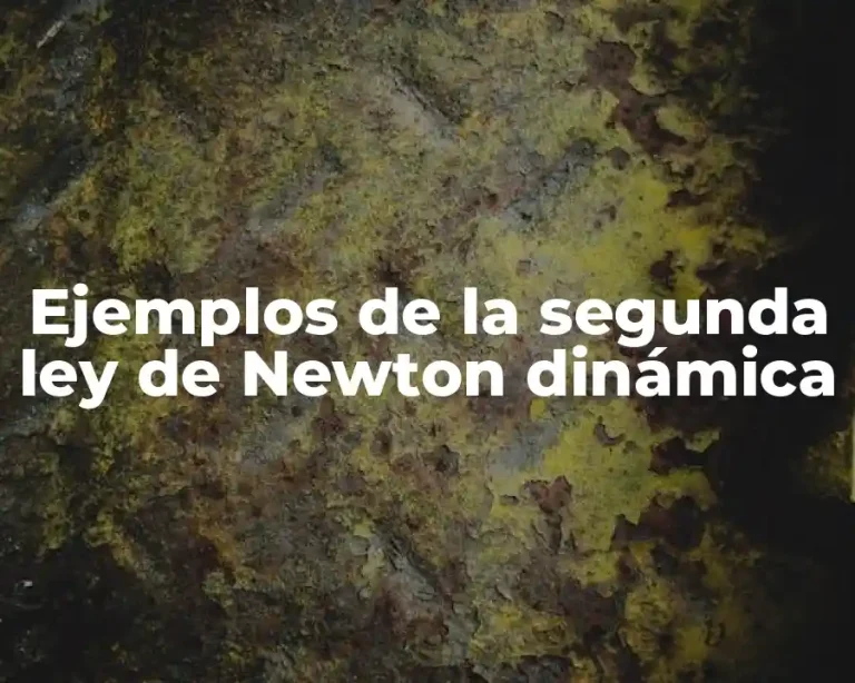 Ejemplos de la segunda ley de Newton dinámica