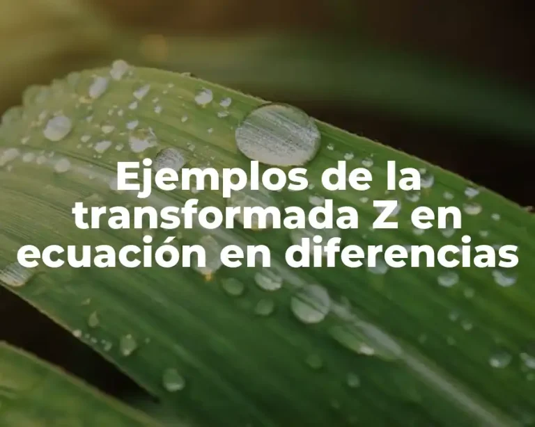 Ejemplos de la transformada Z en ecuación en diferencias