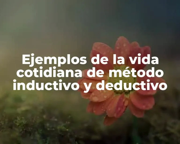 Ejemplos de la vida cotidiana de método inductivo y deductivo