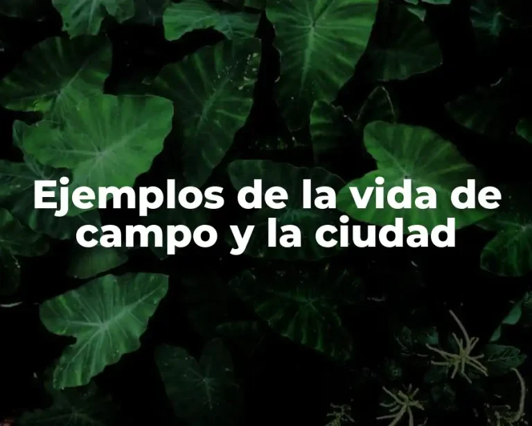 Ejemplos de la vida de campo y la ciudad