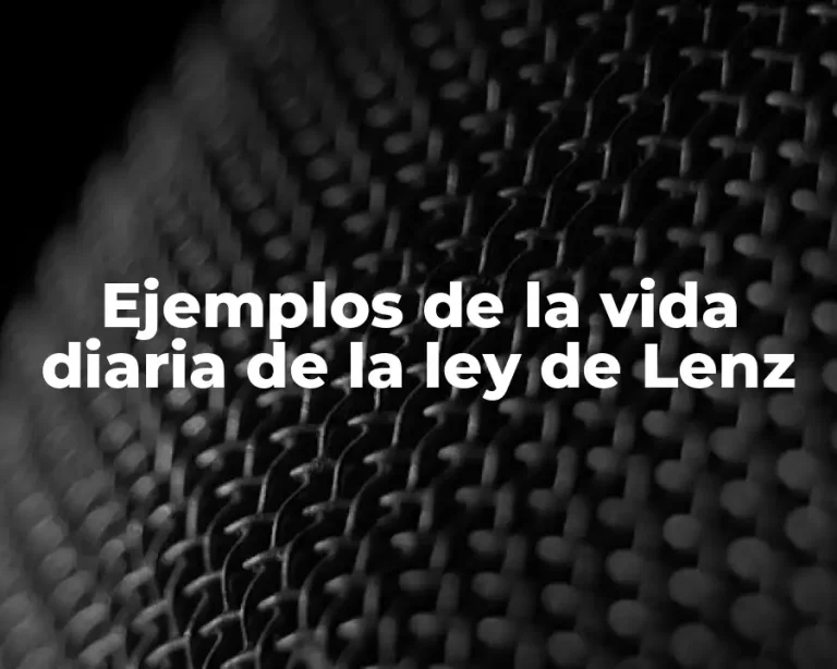 Ejemplos de la vida diaria de la ley de Lenz